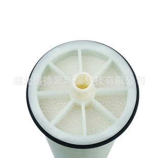泷膜8040 工业RO膜水处理设备用滤膜 4040苦咸水淡化反渗透膜