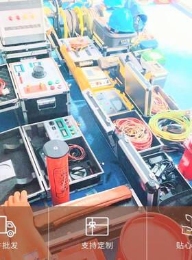 电力ZSHV-30D发电机定子线圈端部表面电位测量仪检测范围广