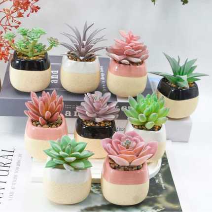 仿真多肉绿植陶瓷盆景跨境热销人造植物家居装饰桌面摆件小盆栽