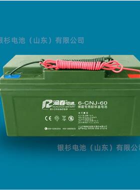 江苏润春蓄电池6-CNJ-50储能用胶体蓄电池太阳能24V50AH路灯照明