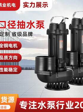 大口径抽水泵农用灌溉2寸-8寸380V污水泵家用220伏扬程30米潜水泵