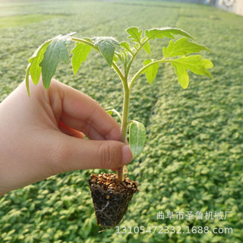 厂家手动蔬菜移栽器大棚黄瓜栽苗器高效辣椒移栽机