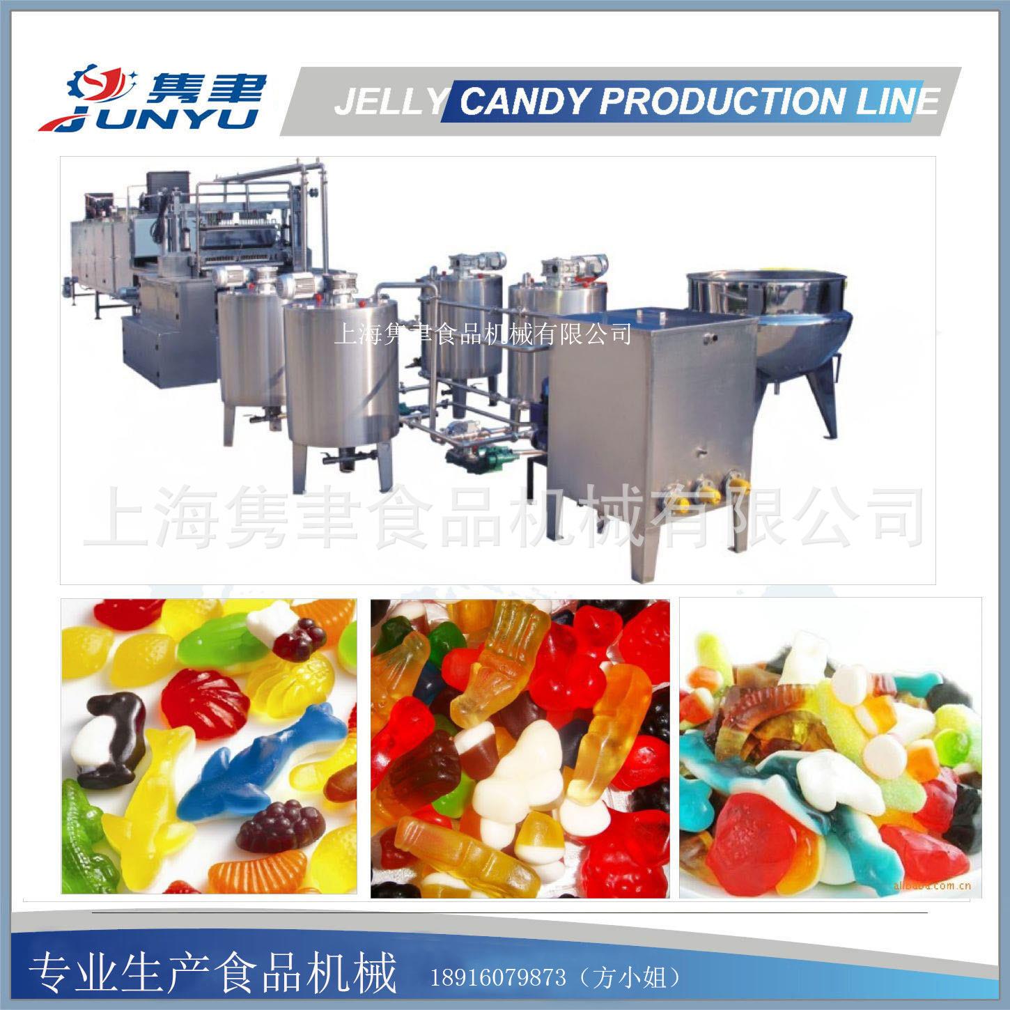 出口专用蔓越莓软糖成型机提供软糖成型生产线供销水果软糖设备