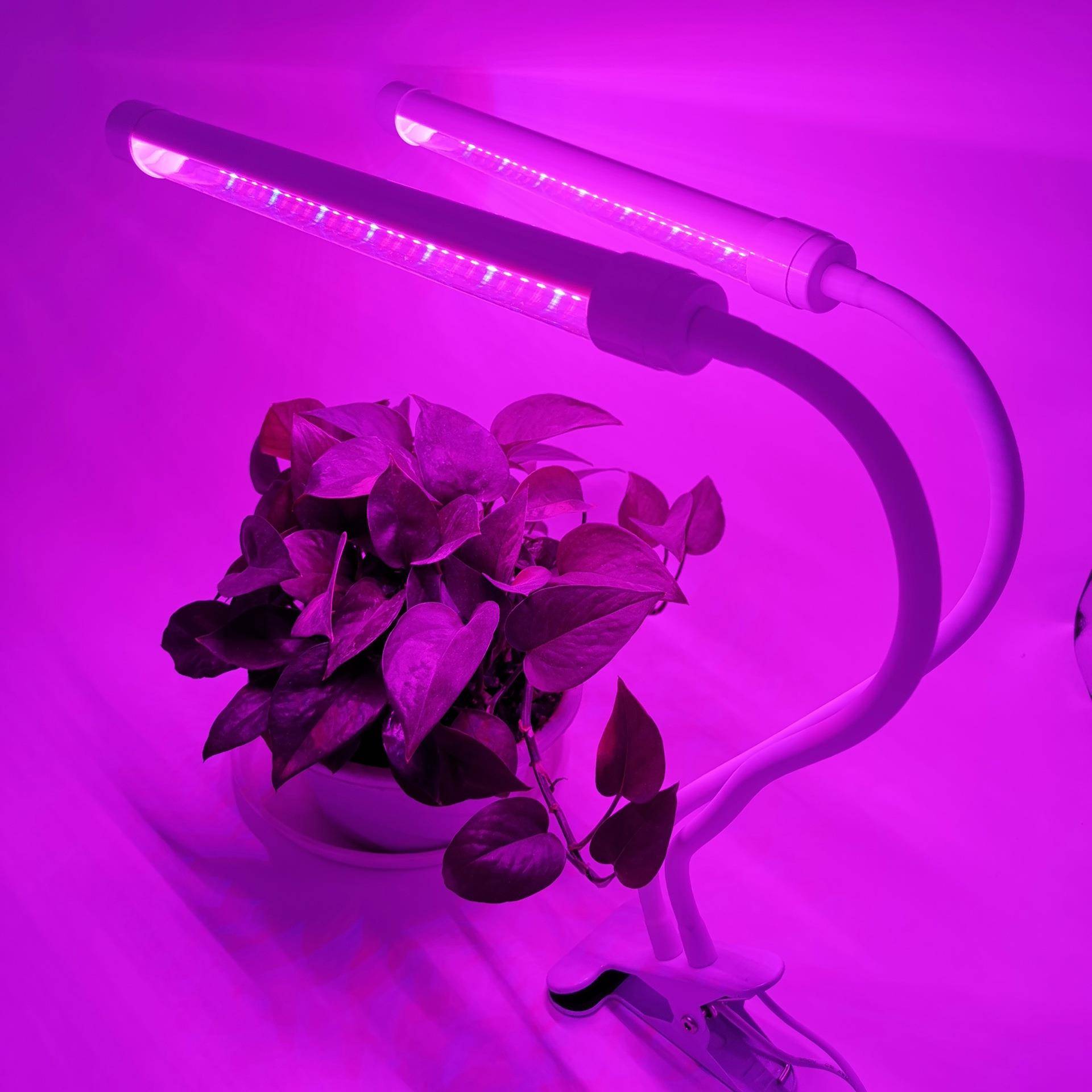 LED植物生长台灯智能定时植物灯夹子台灯多肉植物补光 白色台灯