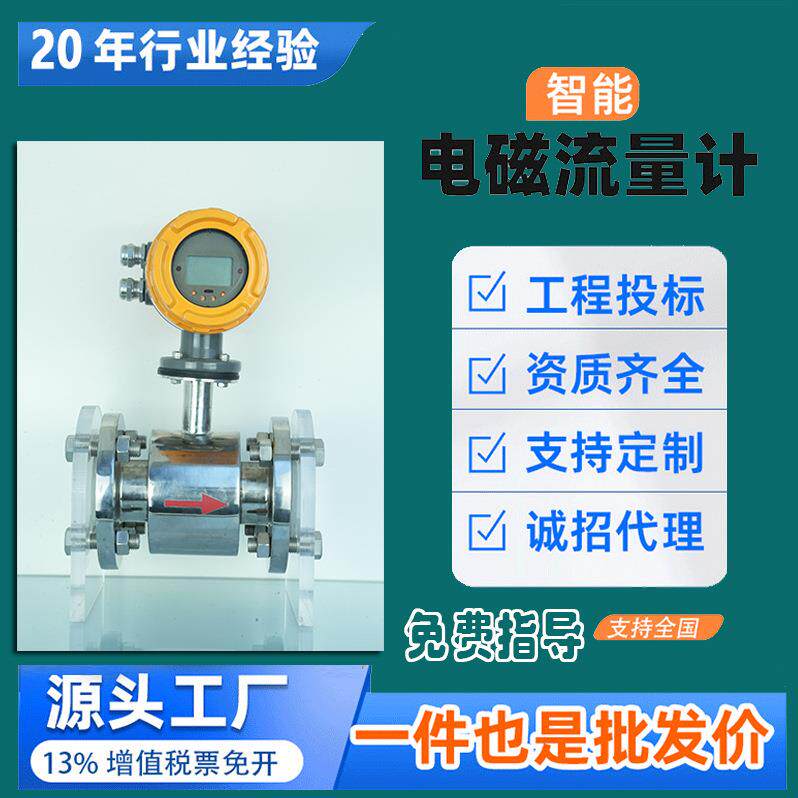 智能电磁流量计管道式法兰连接DN50电极316L电子流量计污水变送器