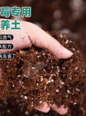 蓝莓专用土蓝莓盆栽地栽营养土弱酸性疏松透气土壤有机种植土肥料