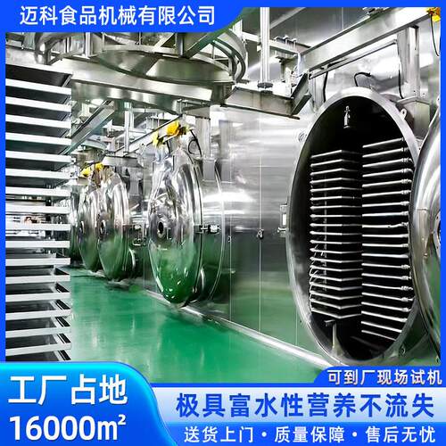 咖啡冷冻干燥设备无花果鲜果冻干设备奶粉真空冷冻冻干机