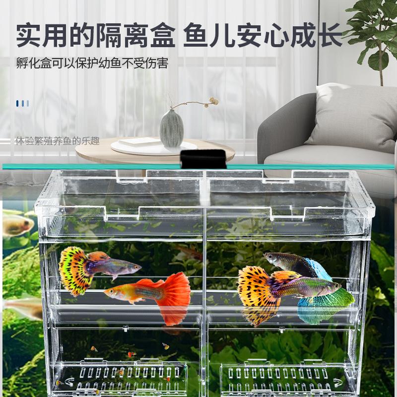 鱼缸孵化孵化其它水族用具设备