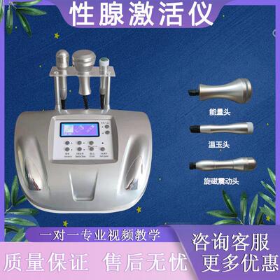 性腺激活仪器 震动按摩修覆保养仪滋养粉嫩多功能商用 美容院专用