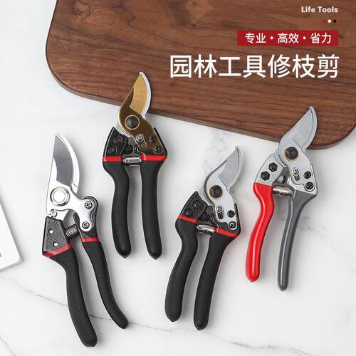 果树修枝剪园林剪树枝专用剪刀园艺剪花剪修剪工具德国省力剪子枝
