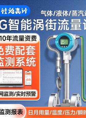 一体式智能涡街流量计工业远程测量气体压缩空气蒸汽流量计配系统