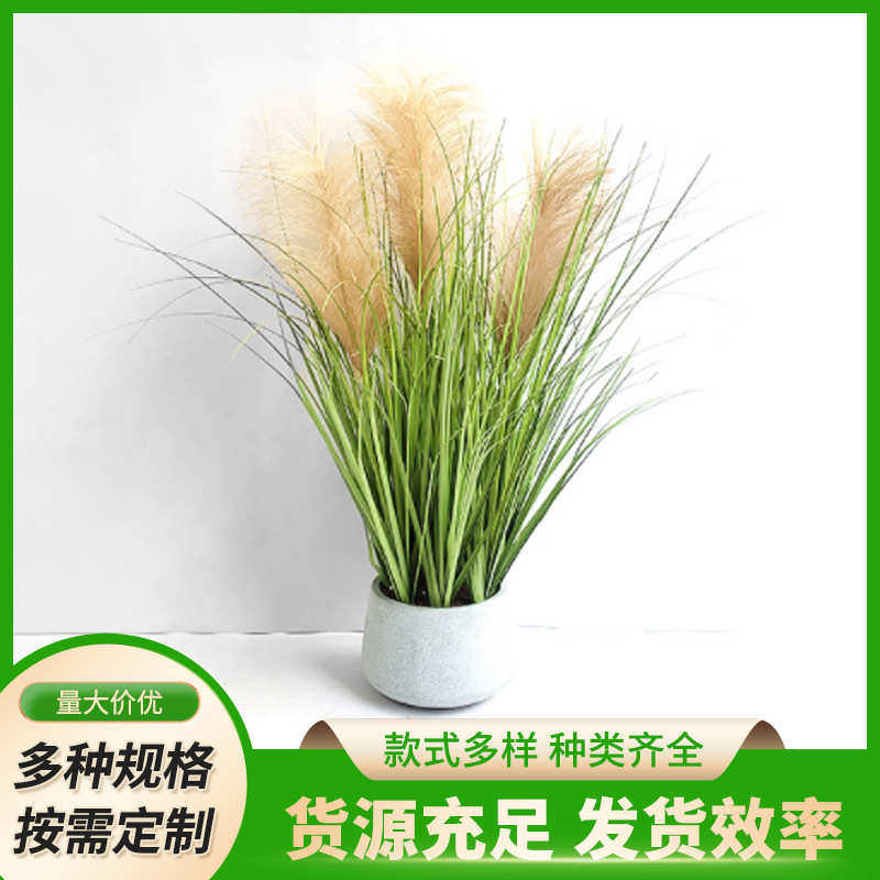 装饰植盆景蒲苇北欧仿真水生植物假绿盆栽花道摆件落地干花芦苇具,鲜花速递/花卉仿真/绿植园艺,仿真绿植,淘宝优惠券,粉丝福利购,淘宝优惠卷