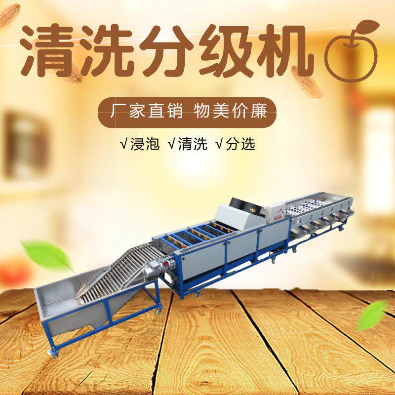 气泡清洗机分级清洗分选机生产厂家脐橙分级机选果机