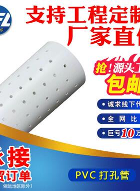 厂家包邮pvc打孔管透水管白色花管子绿化滤水管塑料110盲沟管160