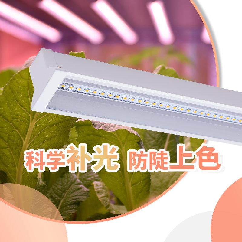 全光谱植物照明灯家用室内LED植物生长灯厂家温室大棚补光灯