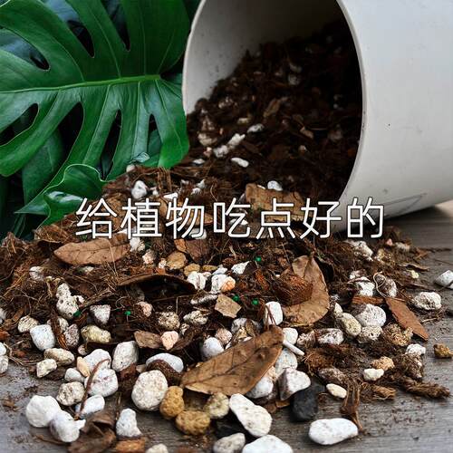 龟背竹专用天南星科热植营养土花烛蔓绿绒海芋龙鳞春羽泥炭颗粒土