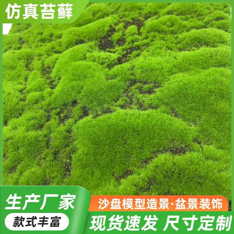 仿真苔藓绿色青苔草坪仿真草皮背景墙橱窗盆景绿植装饰人造假青苔