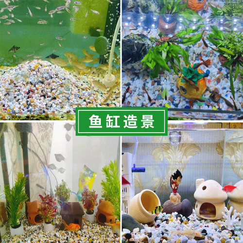 雨花石小石子鹅卵石盆栽养花粗沙