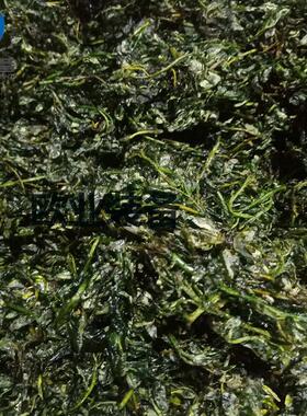 山东欧业 毛豆真空油炸设备 不锈钢圆形低温油炸机锅 投资创业