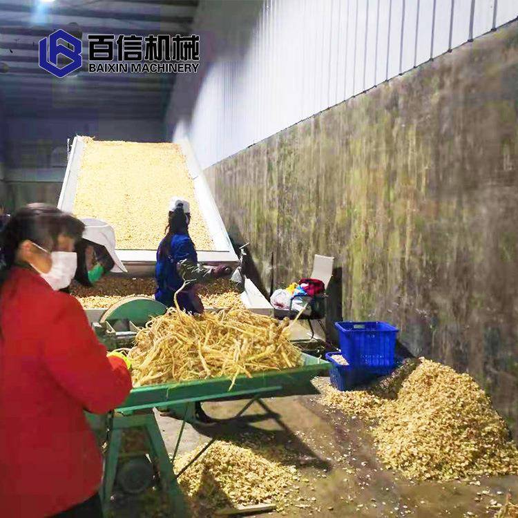 网带式白芨烘干机白芨干燥机多层连续式中药材白芨烘干设备