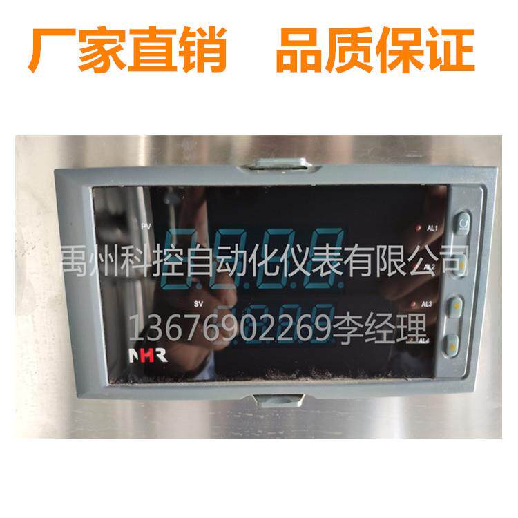 虹润NHR控-12100E/F/H-55/27/0/X-X/1///4/5-X/P/1/-NHR-11002A/D图片
