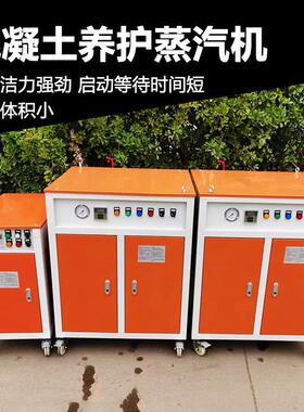 程煤蒸汽发生器桥梁养护蒸养机混凝土养护蒸汽机设备