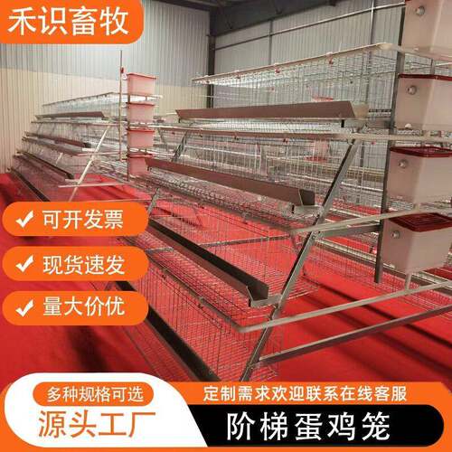 多层阶梯式蛋鸡笼框架蛋鸡笼养殖场层叠式H型鸡笼具加粗养殖笼具