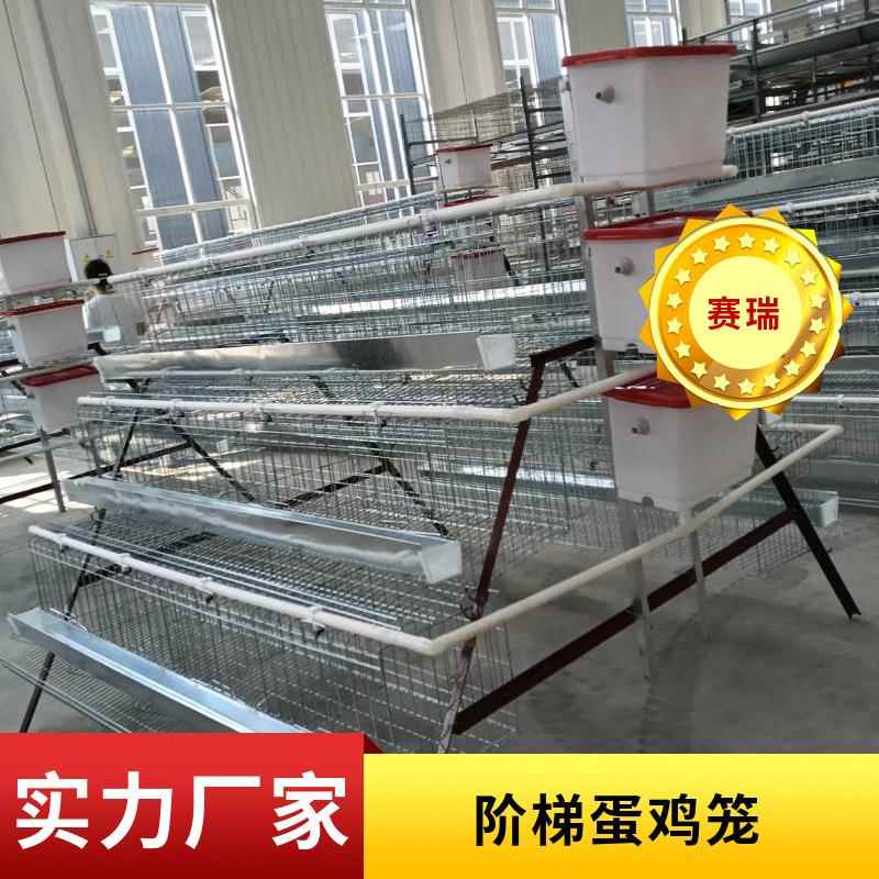 阶梯蛋鸡笼三层四层养殖用鸡舍鸡厂自动手动养殖户养鸡笼子