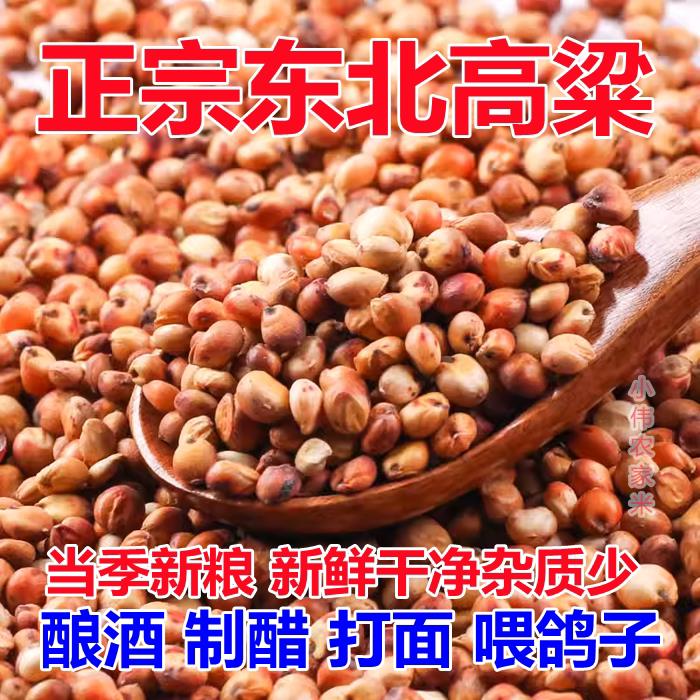 2025新高粱正宗东北本地红高粱带皮红高粱米去壳红高梁酿酒红高粱