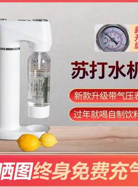 气泡水机苏打水机制作器家用碳酸饮料可乐打气机气泡机奶茶店商用
