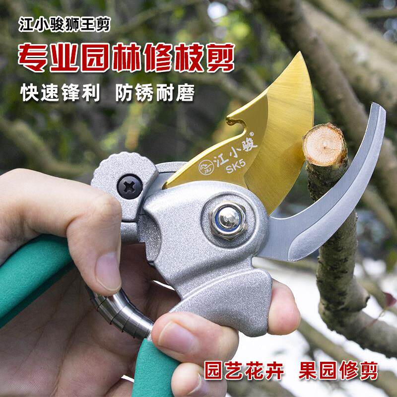 剪树枝剪刀碳钢园林花艺修枝专用剪刀果树粗枝修花剪子剪树枝工具