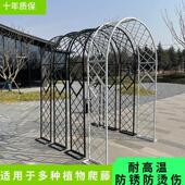 爬藤架鲜花网格门 架子园艺户外庭院花架花园月季 新款 铁艺拱门欧式