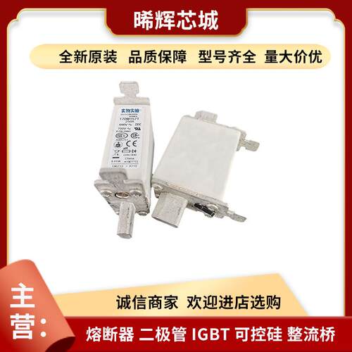 170M1571 170M1572 库存充足直流熔断器现货直供电子元器件