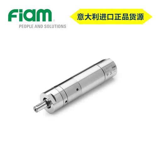 进口FIAM食品级不锈钢IP67防水认证齿轮气动马达耐腐蚀防粉尘防潮