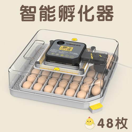 小型孵化设备家禽孵化机鸽子鹌鹑48枚鸡蛋孵化器机械智能温控