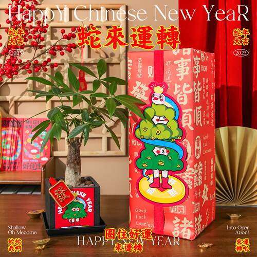 涂鸦造物蛇年懒人旺宅植物办公室桌面绿植摆件送同事朋友新年礼物