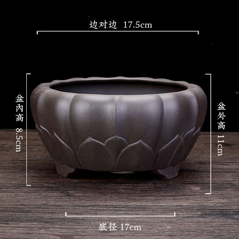 绿圆形金紫砂花卉老弹子莲花阳台榕树盆精品桩包创意花盆造景植