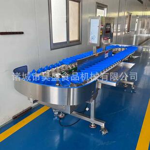 分选机鸡翅多级称重分选设备螃蟹自动称重分选机 苹果柚子盒式