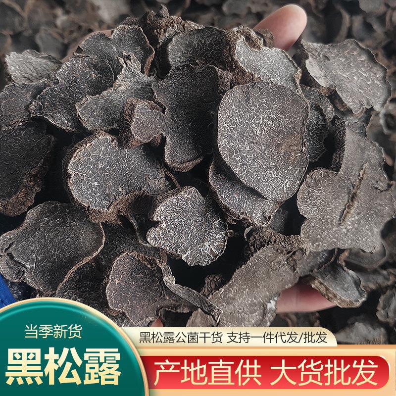 云南黑松露干片野生菌猪拱菌黑松露块菌干货精选新货