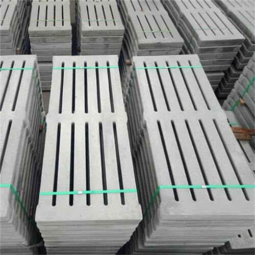 养殖漏粪地板模具 漏粪板塑料模具 产品介绍