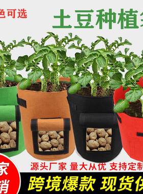 土豆种植袋 毛毡无纺布马铃薯西红柿种植桶植物种植袋植物生长袋