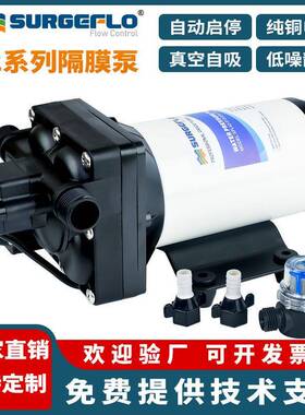 42款厂家直销110V220v电动隔膜泵小型自吸压灌装机液体输送水泵