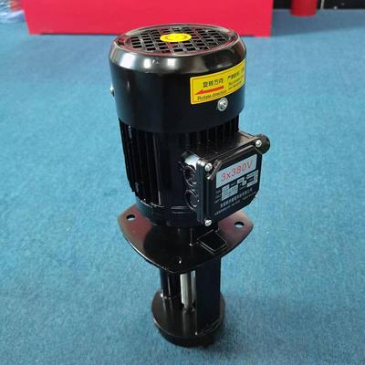 东莞厂级泵浸入式循环单泵水DY泵L2V电动机床冷却KGX液下泵现货