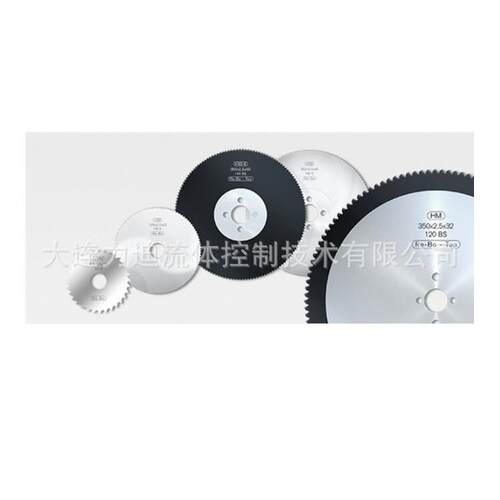 德国RE-BO VHM 硬质合金锯片63*1*16 100A