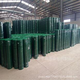 厂家供应浸塑荷兰网 养殖网绿色铁丝网 养鸡围栏网养殖场荷兰网