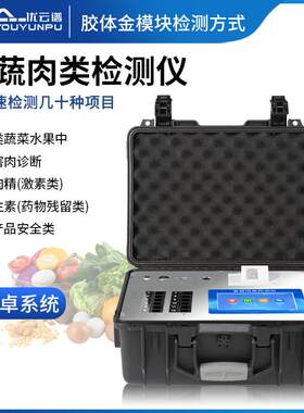 果蔬肉类检测仪 便携式蔬菜水果肉类农残分析仪食品安全检测设备