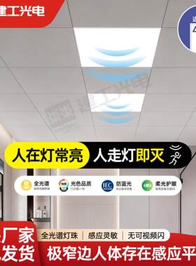 人在灯不灭存在感应平板灯集成吊顶嵌入式厨房卫生间300600面板灯