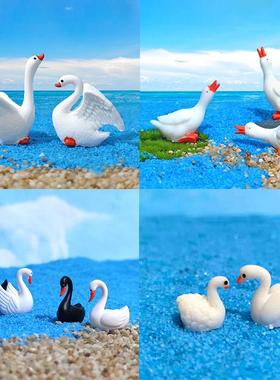 微景观白天鹅大鹅鱼缸盆景装饰品造景diy黑天鹅鸭子桌面动物摆件