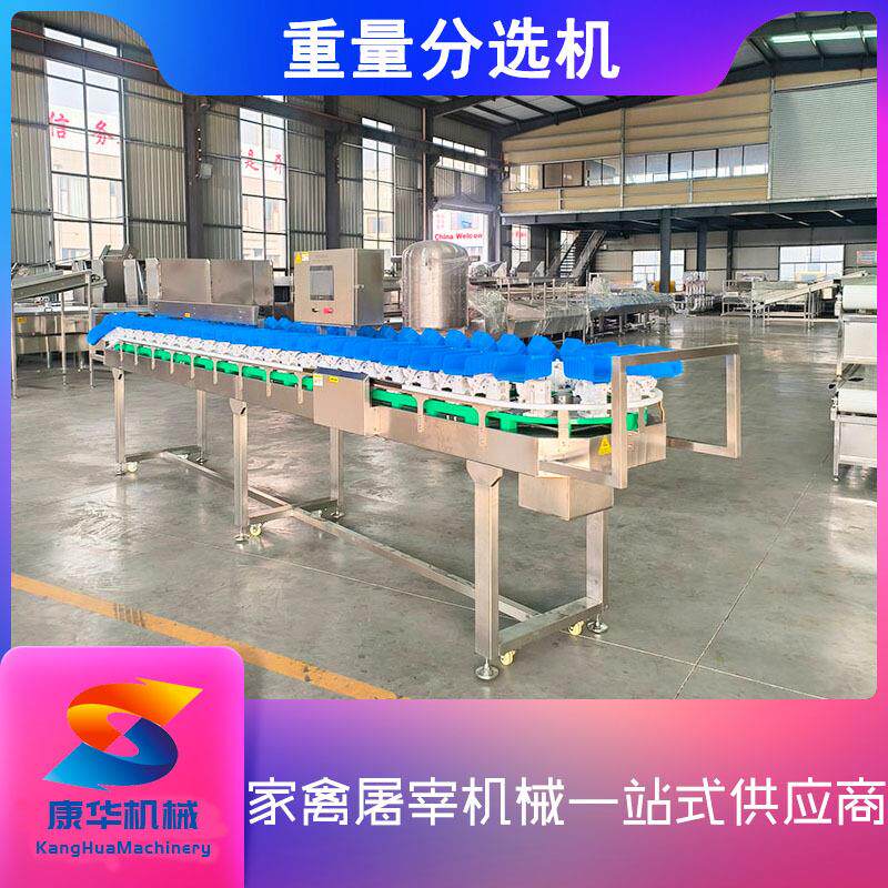 屠宰厂肉鸡重量分选机白条鸡料盒分选称鸡翅鸡爪鸡腿称重分级机