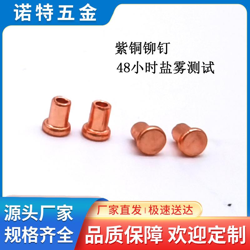 东莞大朗厂家供应可过盐雾48小时柳丁红铜平头铆钉紫铜半空心铆钉
